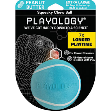 Indestructible Squeaky Dog Toys Petco