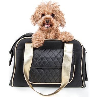 Petco pet carrier airline approved shop
