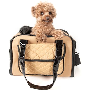 Petco dog carrier airline shop