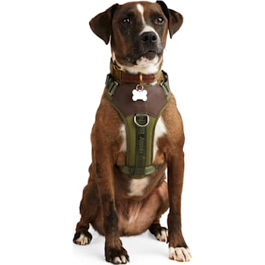 Harness For Long Haired Dogs Petco