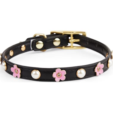 Cute Dog Collars For Small Dogs Petco