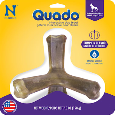 Pumpkin Dog Toys Petco