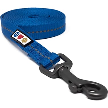 30 ft leash petco shop