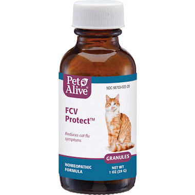 Cough medicine for dogs petco cheap