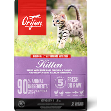 Kitten Food For Picky Eaters Petco
