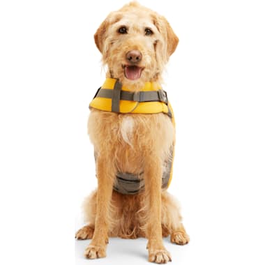 Extra Large Dog Vest Petco