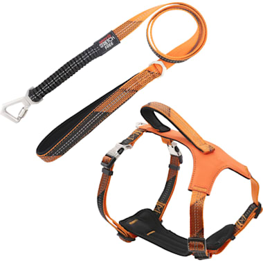 Dog leash that wraps around chest sales