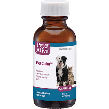 Anxiety medication for dogs petco shop
