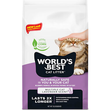 Best cat litter for ragdolls deals