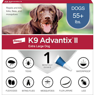Ringworm treatment for dogs petco outlet