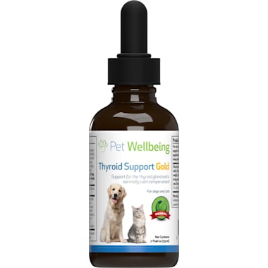Petco kennel cough medicine online