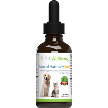 Dog growth supplements top