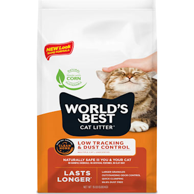 Best litter for asthmatic cats 2025
