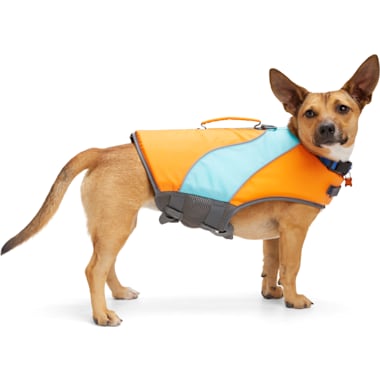 Best Dog Life Jackets of 2024 Petco