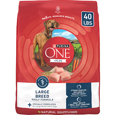 Wsava dog food brands top