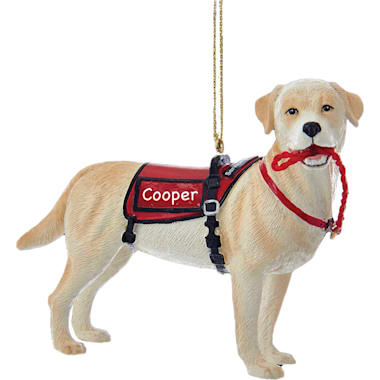 Service dog harness petco on sale