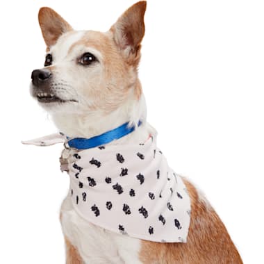 Petco dog bandanas shop