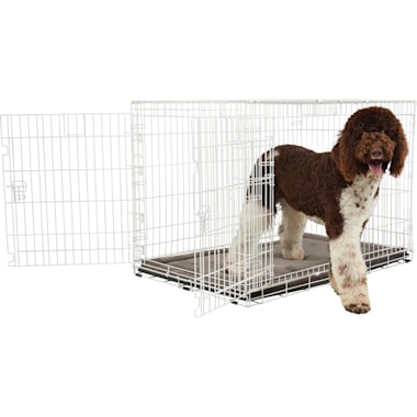 48 Inch Dog Crate Petco