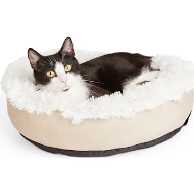 Best Cat Beds of 2024 Petco