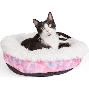 Best cat bed for older cats shop