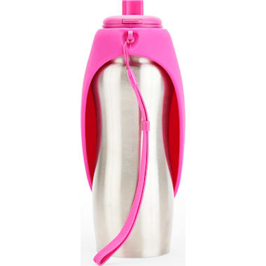 Water Container For Dog Crate Petco