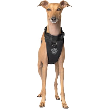 Escape Proof Dog Harnesses Petco