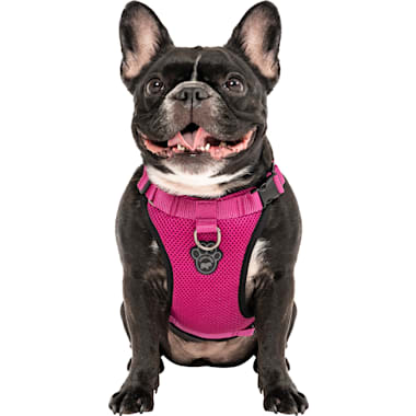 Escape Proof Dog Harnesses Petco