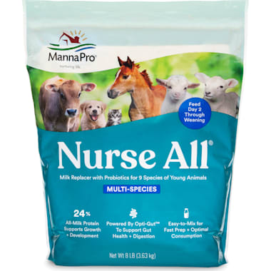 Best cat food for nursing mother best sale