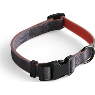 Petco remote training collars top