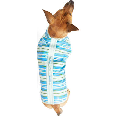 Dog umbrella petco top