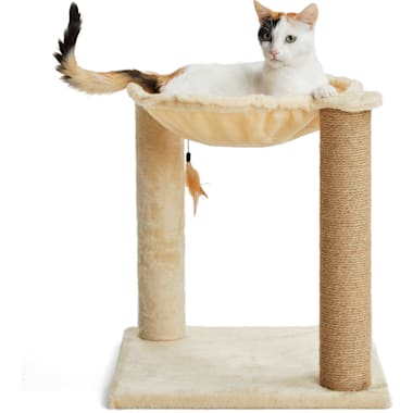Lounging Hammocks For Cats Petco