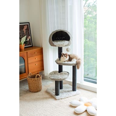 Senior cat tree discount