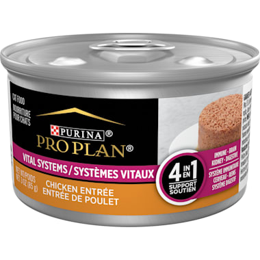 Best non prescription cat food for kidney disease 2025