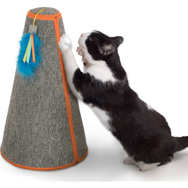 E collar for cats petco deals
