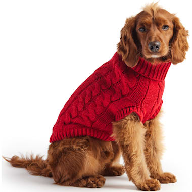 Thanksgiving Hundesweatshirt 2er Set - Für Kleine & Mittelgroße Hunde & Katzen | Orange, Mit Kapuze, Größe M