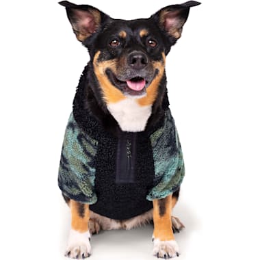 Happy hoodie petco shop