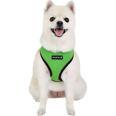 Harness for growing puppy online