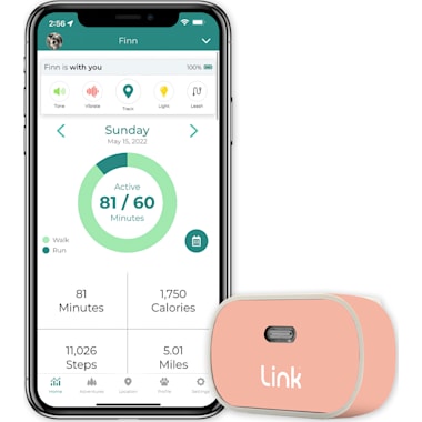 Petco gps tracker online