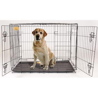 Divided Dog Crate Petco