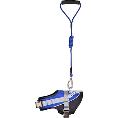 Dog Leash That Wraps Around Chest Petco