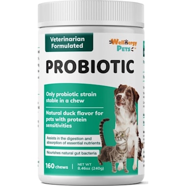 Best Probiotics For Dogs of 2024 Petco