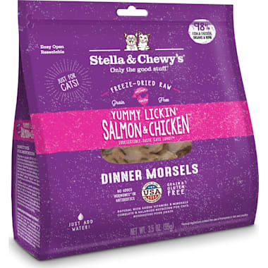 Best Raw Cat Food of 2024 Petco