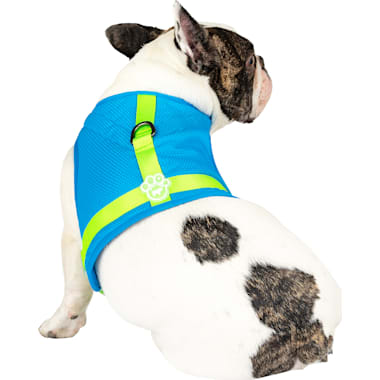 Dog harness for long haired dogs discount