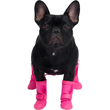 Anti Slip Dog Boots Petco