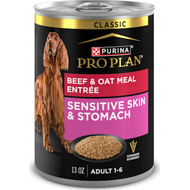 Best canned dog food for sensitive stomachs shop