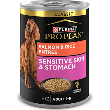 Best canned dog food for sensitive stomach and diarrhea deals