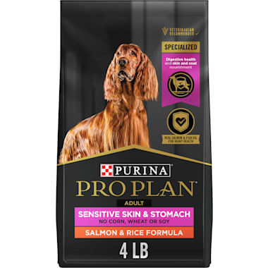Rough Collie Dog Food Petco
