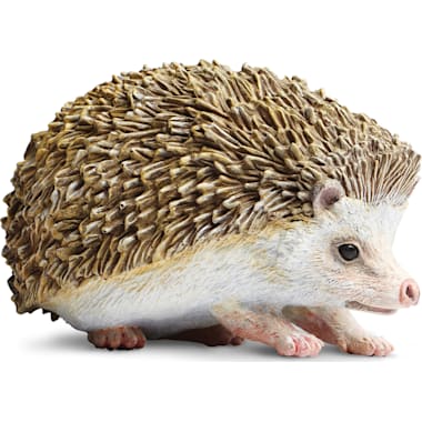 Hedgehog food petco shop