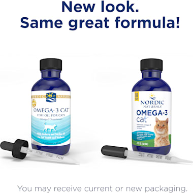 Best Fish Oil For Cats of 2025 | Petco