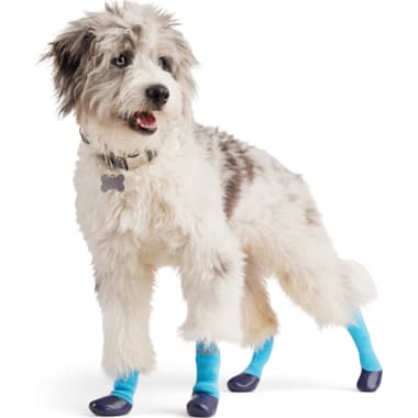 Dog socks petco outlet
